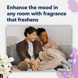 Glade PlugIns Refills Air Freshener, Scented and Essential Oils for Home and Bathroom, Lavender & Vanilla , 1.34 Fl Oz, 2 Count (Pack of 1)