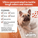 Wee Away X2 Dog Urine Stain & Odor Remover - Double Strength Enzyme Spot Cleaner for Dog Pee, Marking & Odor Removal - Carpet, Furniture & Bedding