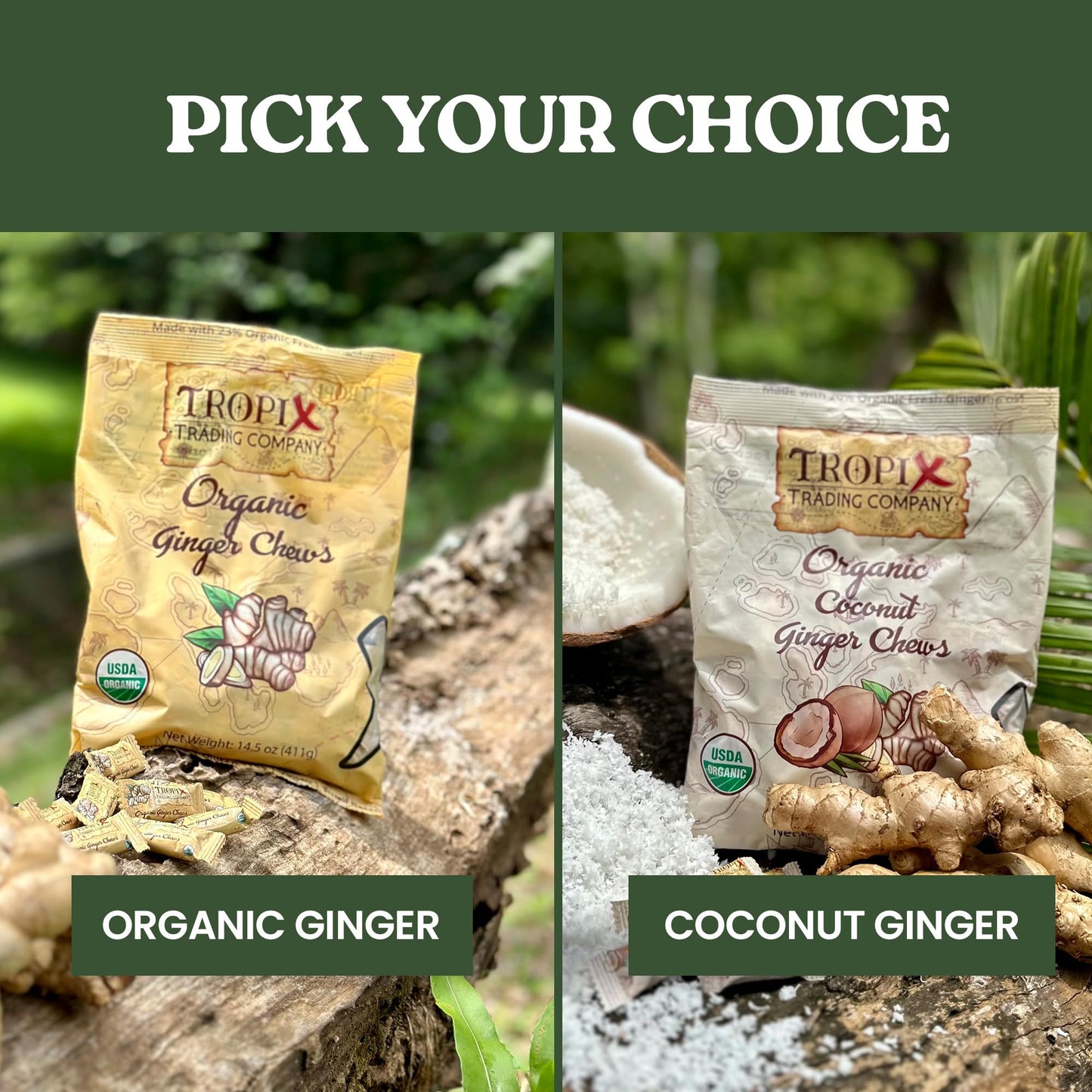 Tropix Trading Company - Organic Ginger Chews, Sweet and Spicy Ginger Chews Made From USDA Fresh Ginger, Non-GMO and No Added Flavorings, Vegan