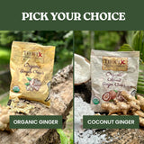 Tropix Trading Company - Organic Ginger Chews, Sweet and Spicy Ginger Chews Made From USDA Fresh Ginger, Non-GMO and No Added Flavorings, Vegan