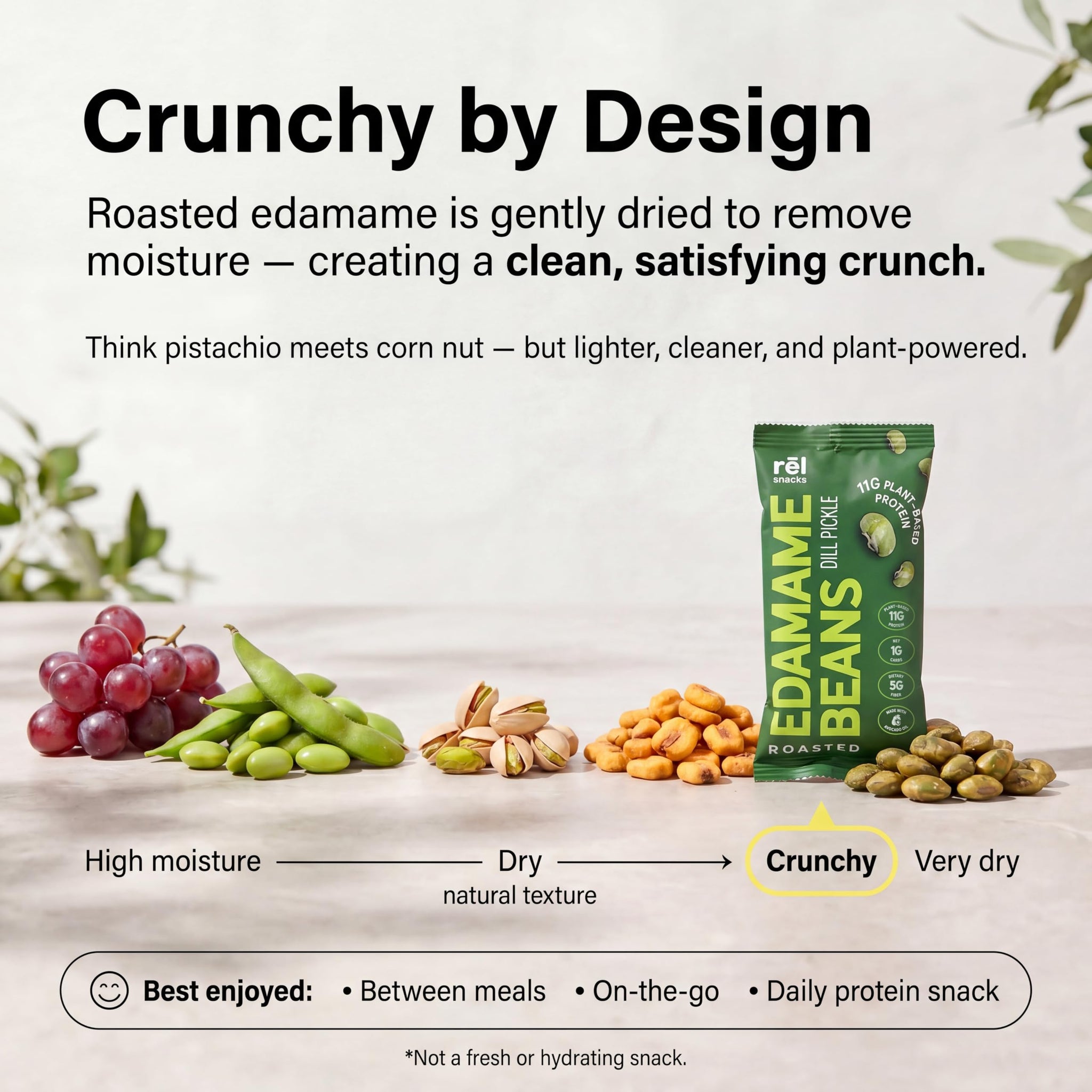 Rel Snacks Dill Pickle Roasted Edamame Beans - High Protein, Low Carb Snack (11g Protein) - Keto, Vegan, Non-GMO - Made with Avocado Oil - 10 Pack