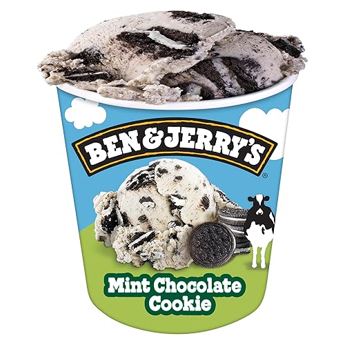 Ben & Jerry's Ice Cream Mint Chocolate Cookie 16 oz