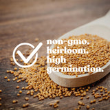 Sustainable Seed Co Organic Red Stalk Giant Celery Seeds 4 Oz Heirloom
