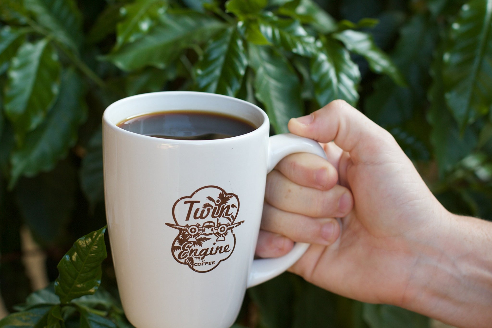 ELEFANTE - Black Edition - Dark Roast, Cup of Excellence Winning Coffee - Limited Edition by Twin Engine Coffee