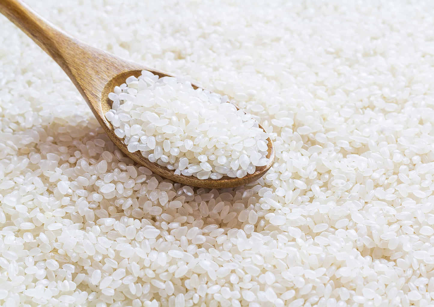 Food to Live Organic Short Grain White Sushi Rice, 1 Pound - Non-GMO Japanese Style Perfectly Sticky Rice, Vegan, Bulk. Easy to Cook. Great as a Side Dish. Perfect for Sushi, Salads, and Desserts
