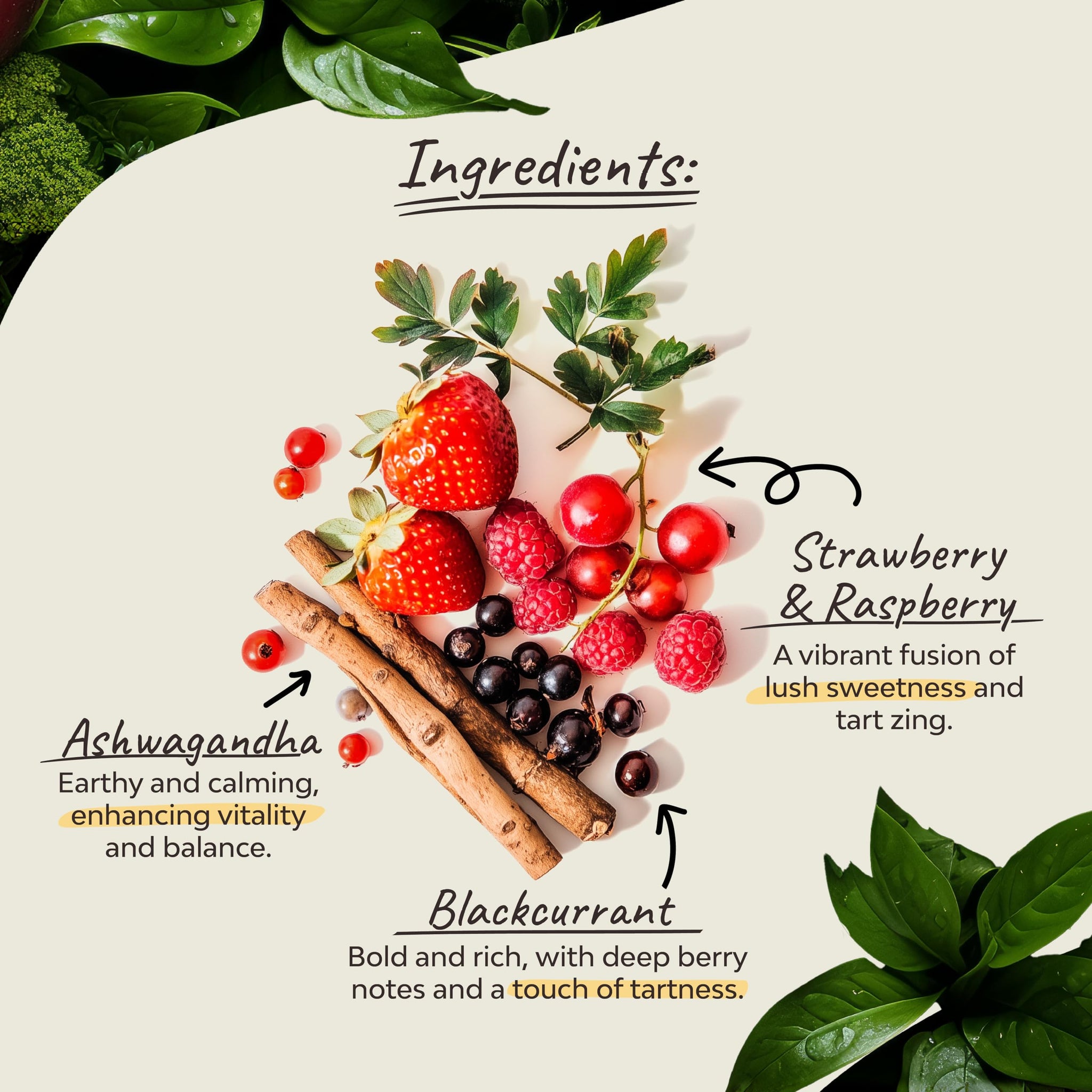 Organsia Herbal Tea - Very Berry with Ashwagandha - Certified Organic - Caffeine Free