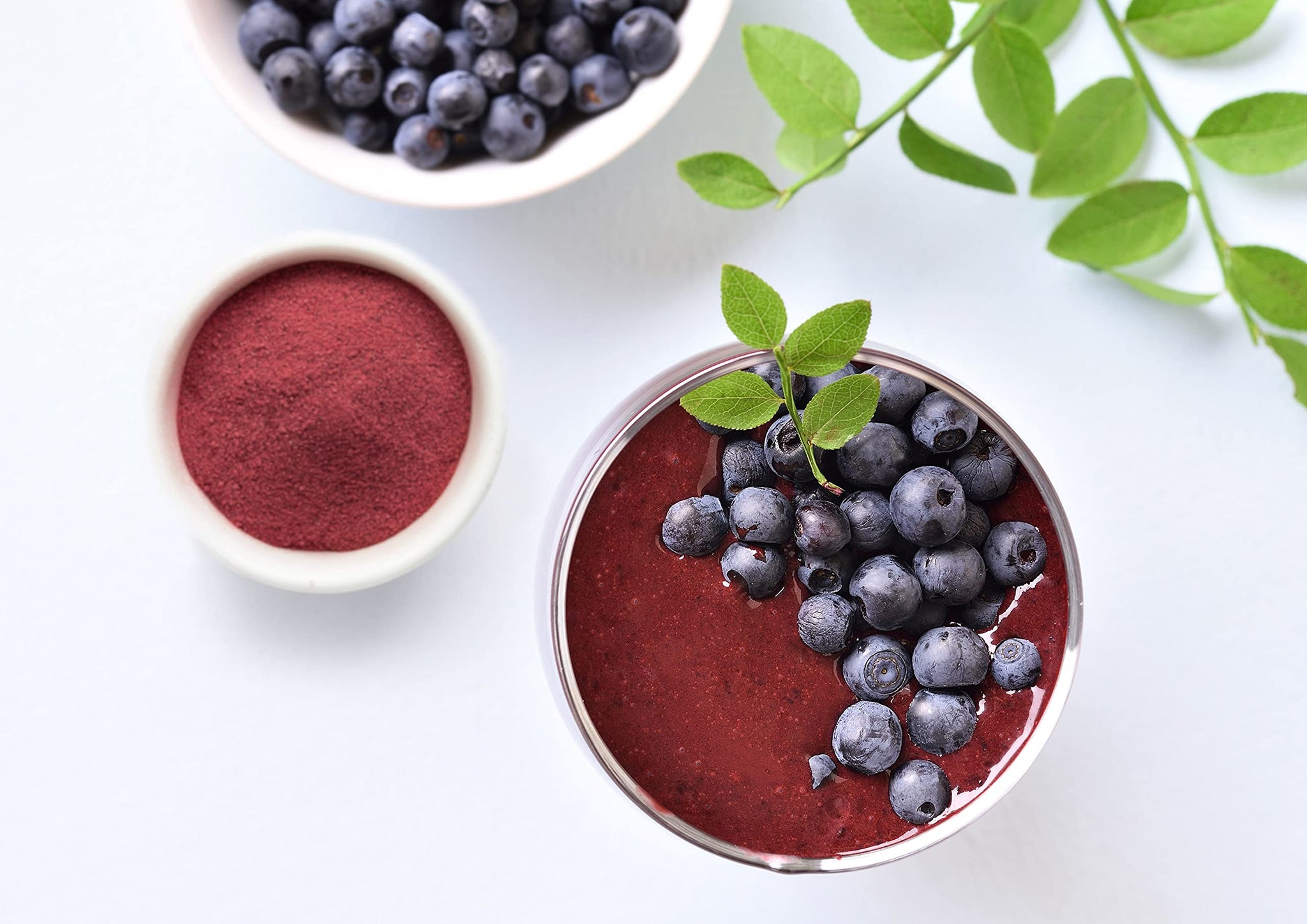 Food to Live Organic Blueberry Juice Powder, 2 Pounds - Non-GMO, Unsulfured, Raw, Vegan, Bulk, Great for Juices, Smoothies, and Instant Breakfast