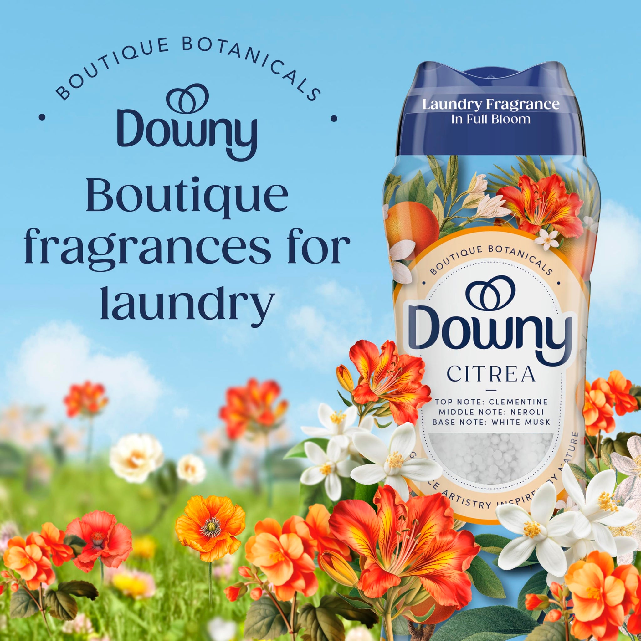 Downy Boutique Botanicals In Wash Laundry Scent Booster Beads, Boutique Fragrances inspired by the Artistry of Nature, CITREA Scent, 21.1 oz