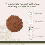 Starwest Botanicals Cat's Claw Bark Powder Wildcrafted - Dried Cat's Claw Herb for Tea, Herbal Blends, Smoothies, & Baking, Certified Kosher - Bulk 1