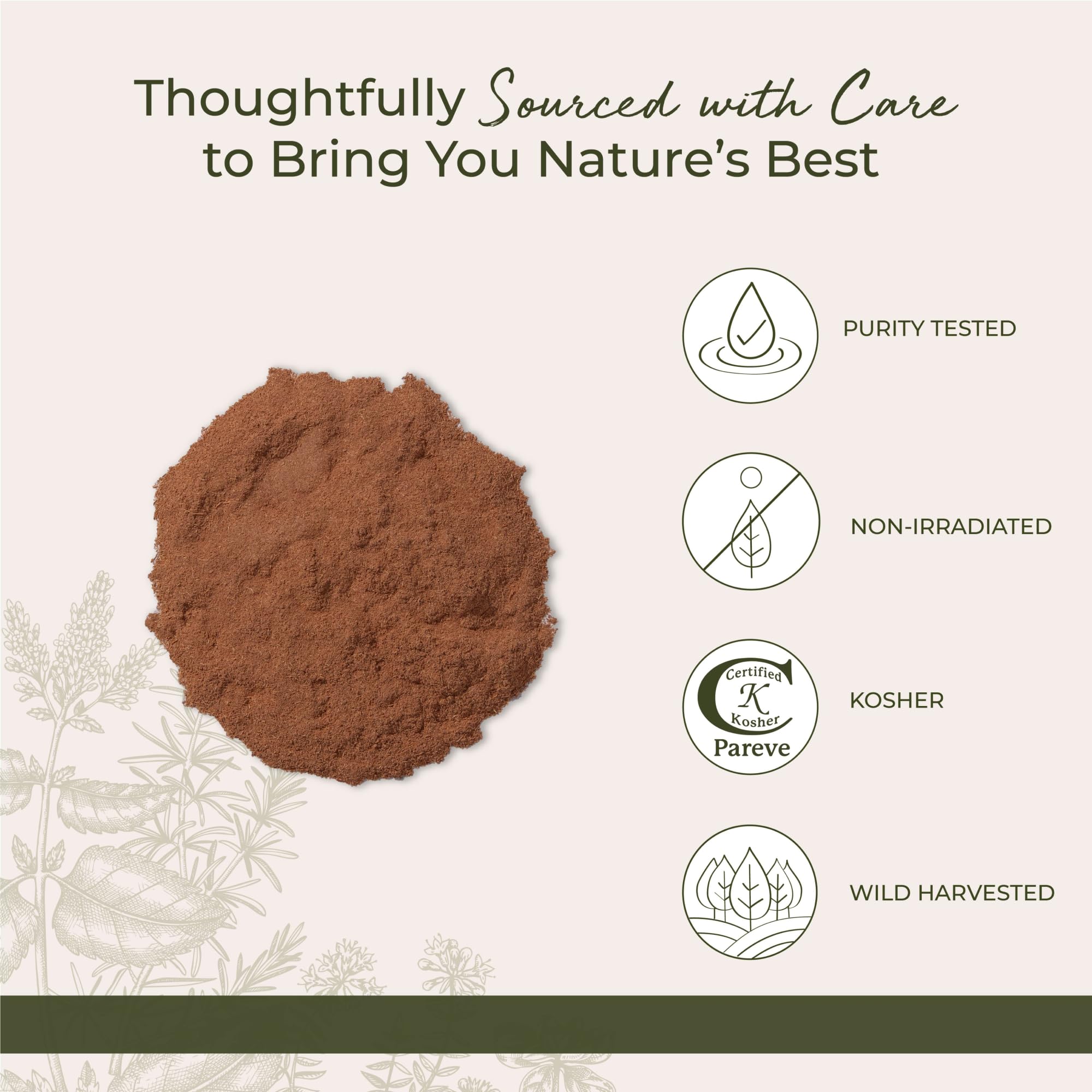 Starwest Botanicals Cat's Claw Bark Powder Wildcrafted - Dried Cat's Claw Herb for Tea, Herbal Blends, Smoothies, & Baking, Certified Kosher - Bulk 1