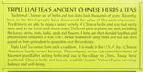 Triple Leaf Tea, Decaf Green Tea with Ginseng, 20 Tea Bags (Pack of 6)