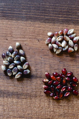 Amish Country Popcorn | 6-1 lb Bags | Variety Bundle | 2-1 lb Bags Purple - 2-1 lb Bags Red and 2-1 lb Bags Blue Popcorn Kernels | Old Fashioned