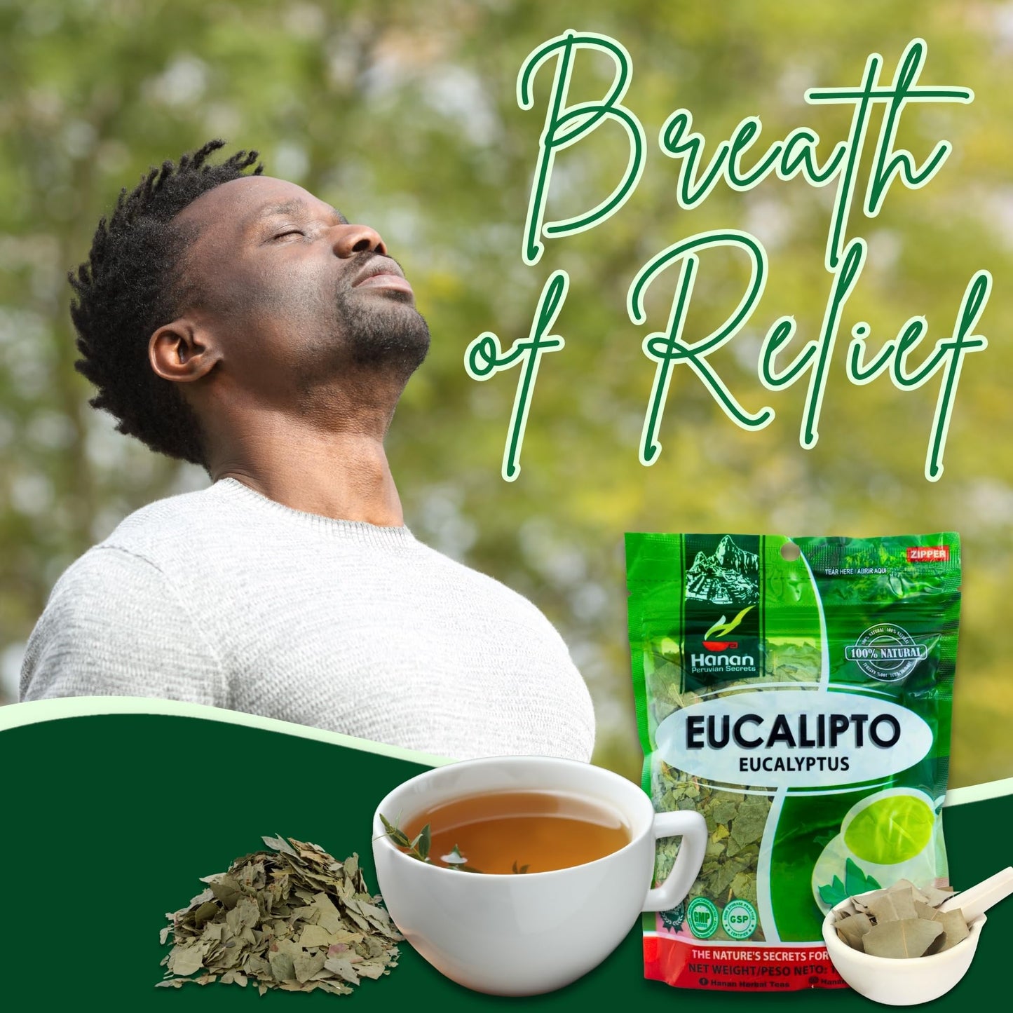 Hanan Dried Eucalyptus Leaves - Te de Eucalipto, Natural Eucalyptus Loose Leaves - Eucalipto Hojas Naturales Grown in Peru - Herbal Tea, Fresh Taste