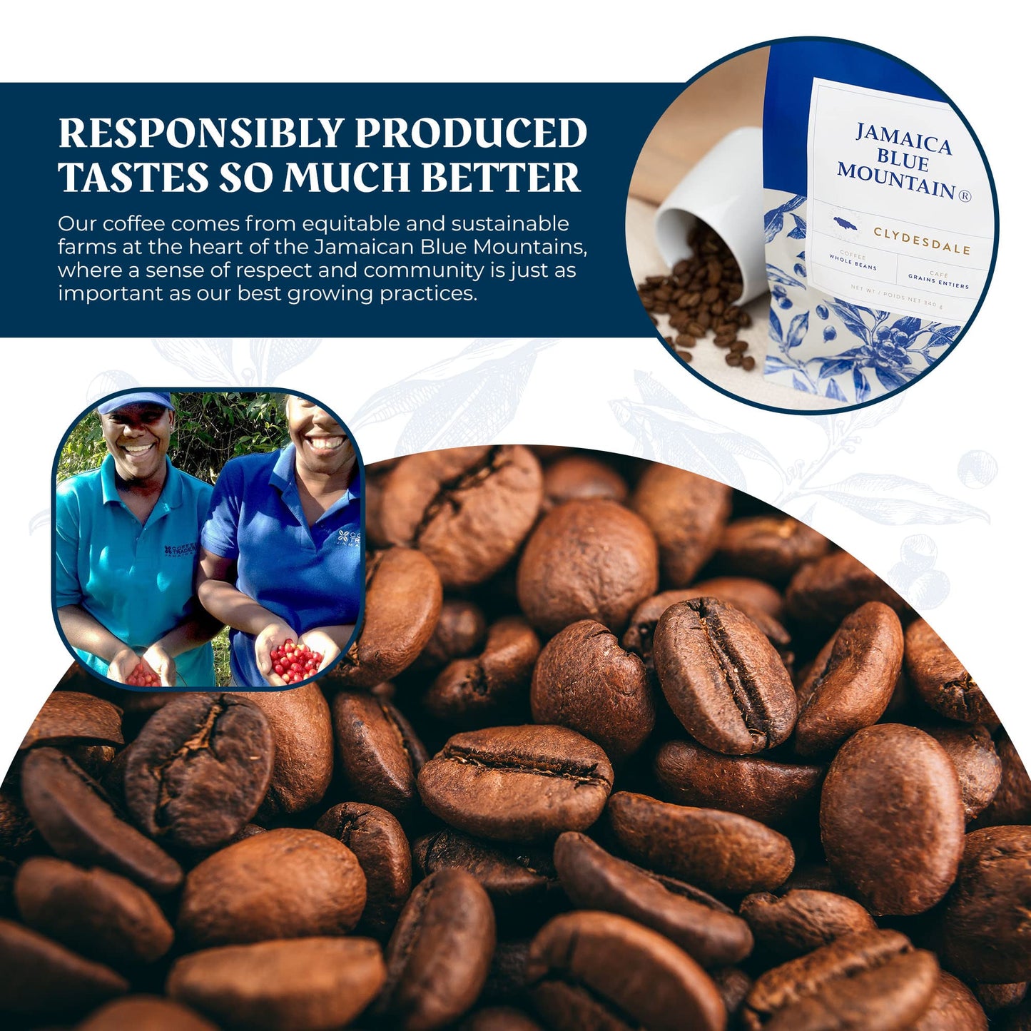 JA Coffee - 100% Jamaica Blue Mountain Coffee, Medium Roast, Whole Beans - Premium Arabica, Bag of 454 grams (1 Pound - 16 ounces)