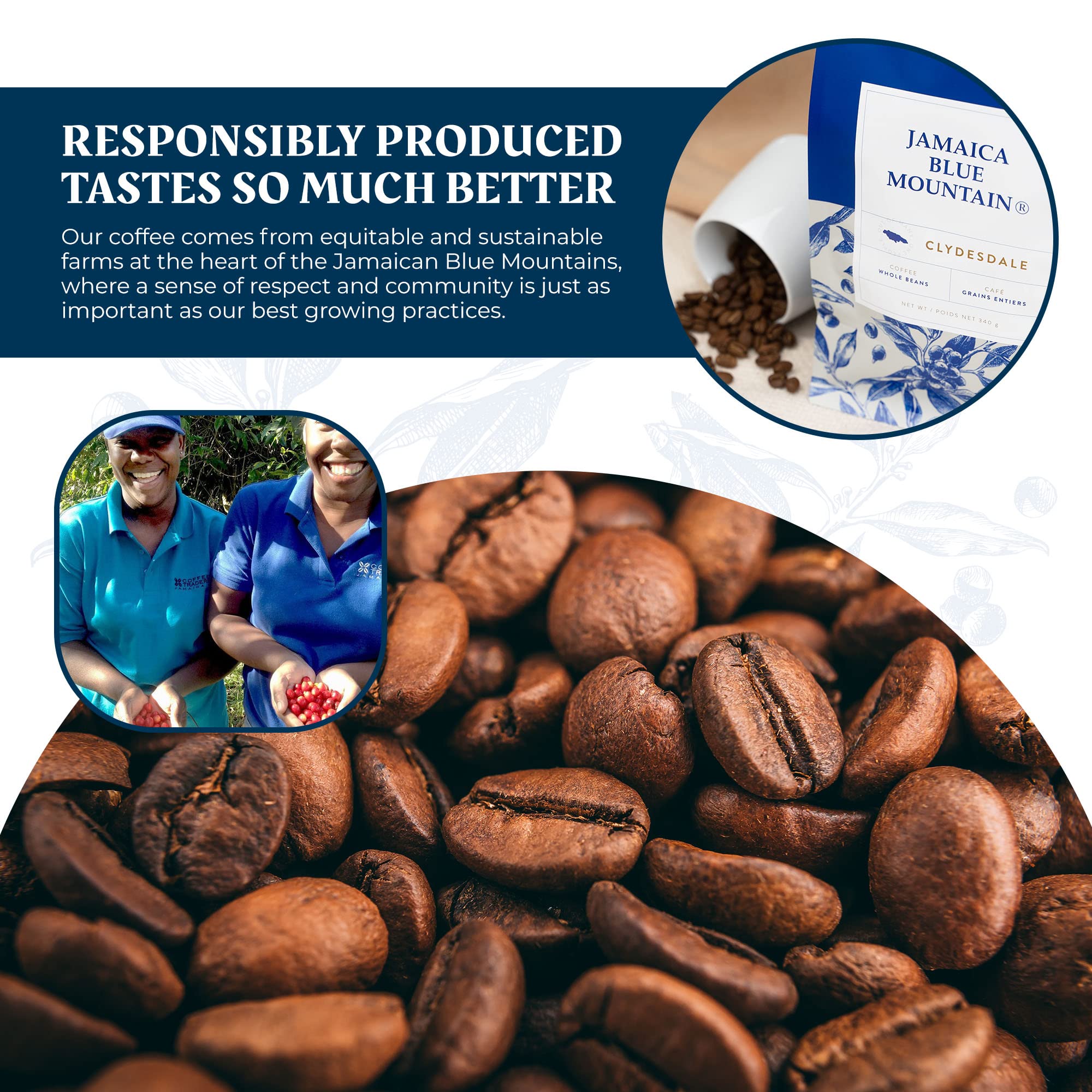 JA Coffee - 100% Jamaica Blue Mountain Coffee, Medium Roast, Whole Beans - Premium Arabica, Bag of 454 grams (1 Pound - 16 ounces)