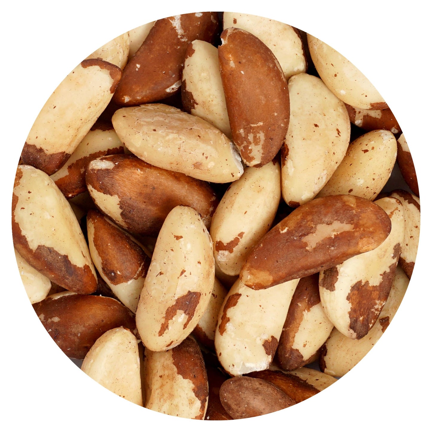 Raw Brazil Nuts, 1 Pound Bag, No Shell, Whole, Hampton Distribution