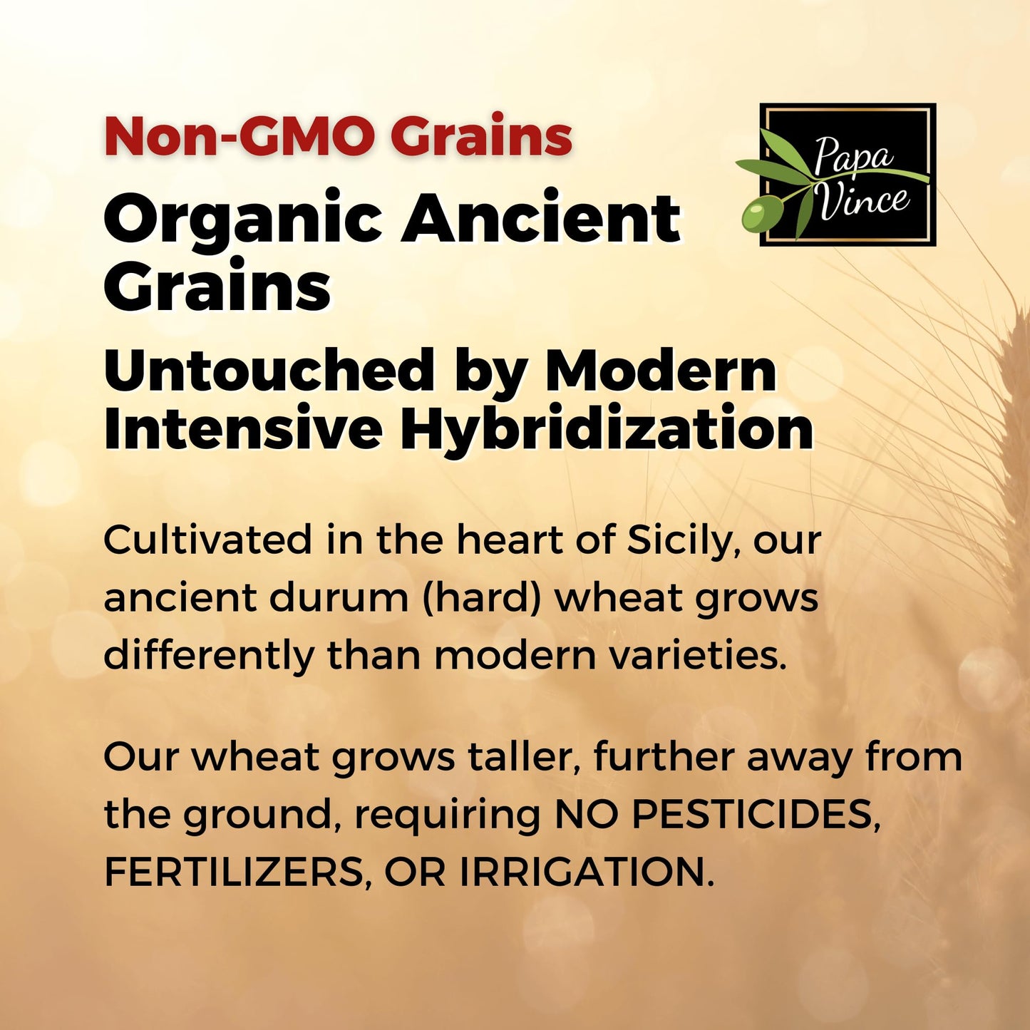 Papa Vince Organic Non Enriched Pasta - good whole wheat busiate pasta, made in Italy from ancient grains cultivated in Sicily, Italy. Slow Dried