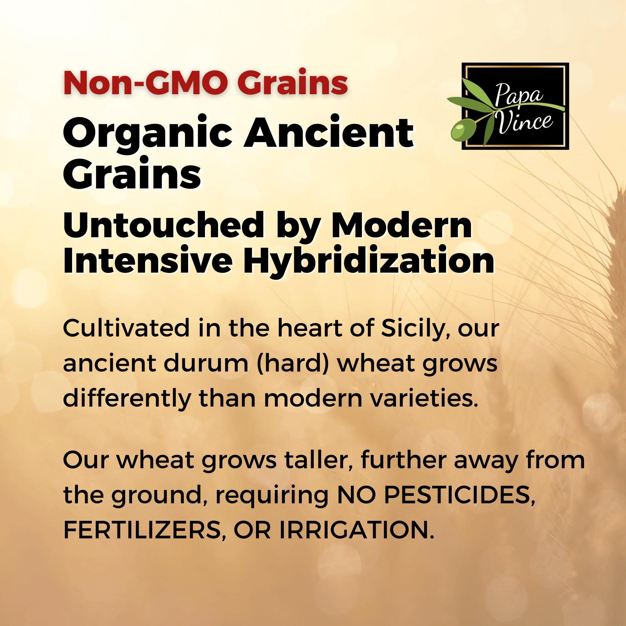 Papa Vince Organic Non Enriched Pasta - good whole wheat busiate pasta, made in Italy from ancient grains cultivated in Sicily, Italy. Slow Dried