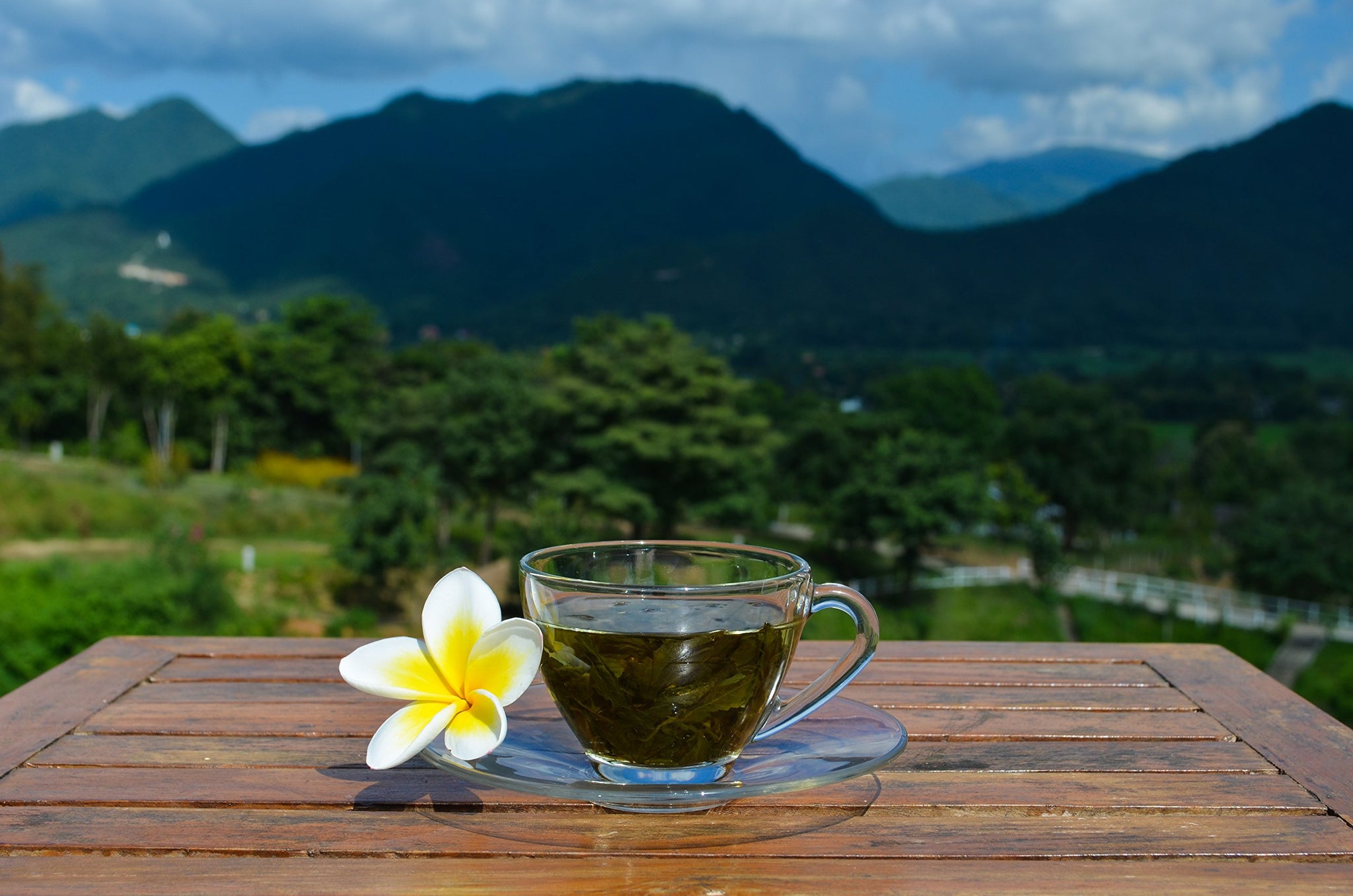 Jiaogulan Tea (Gynostemma Pentaphyllum) by Majestic Herbs | Organically Grown Loose Leaf Tea | Caffeine-Free | Fair-Trade |100g