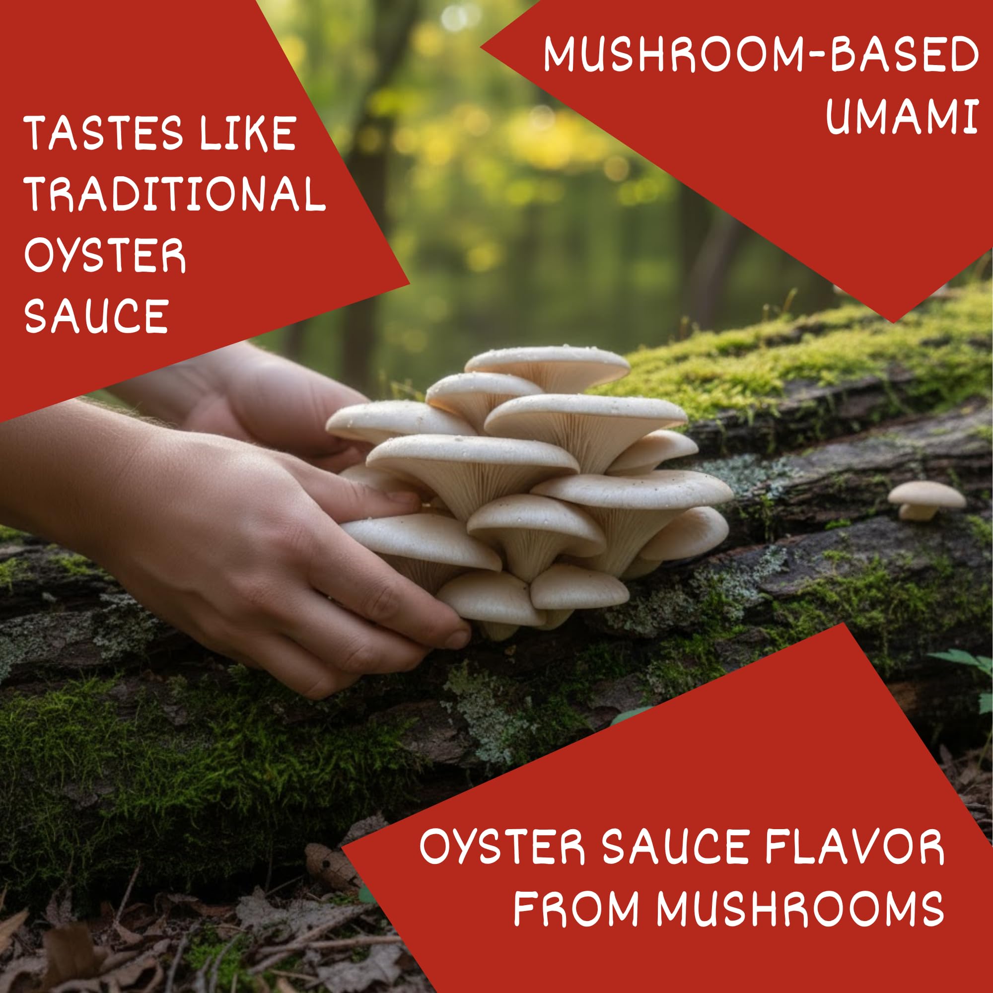 24Vegan - Vegan Oyster Sauce, Gluten Free, NON-GMO Oyster Mushroom Umami Sauce - Low Sugar, No MSG Added, All Natural Vegetarian Oyster Sauce (7.5oz)