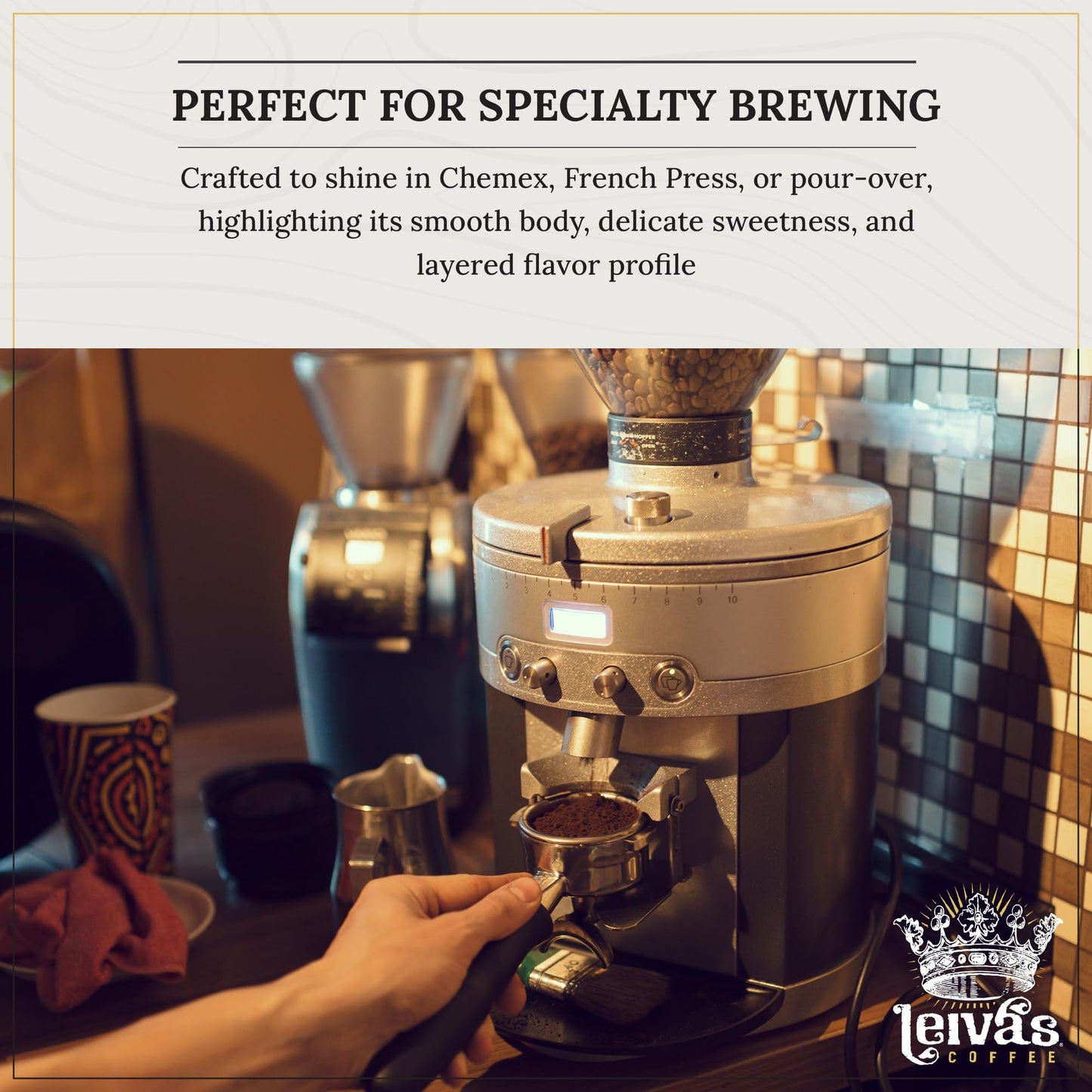 Leiva’s Whole Bean Light Roast Coffee, Freshly Roasted, Small Batch Guatemalan Beans - Finca La Esperanza Single Origin Coffee Beans w/Vanilla