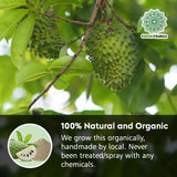 Soursop Leaves Tea Bags - 100% Natural Graviola Leaf Herbal Tea - Pure Dried Soursop Leaves for Infusion - Caffeine-Free Herbal Tea Bags