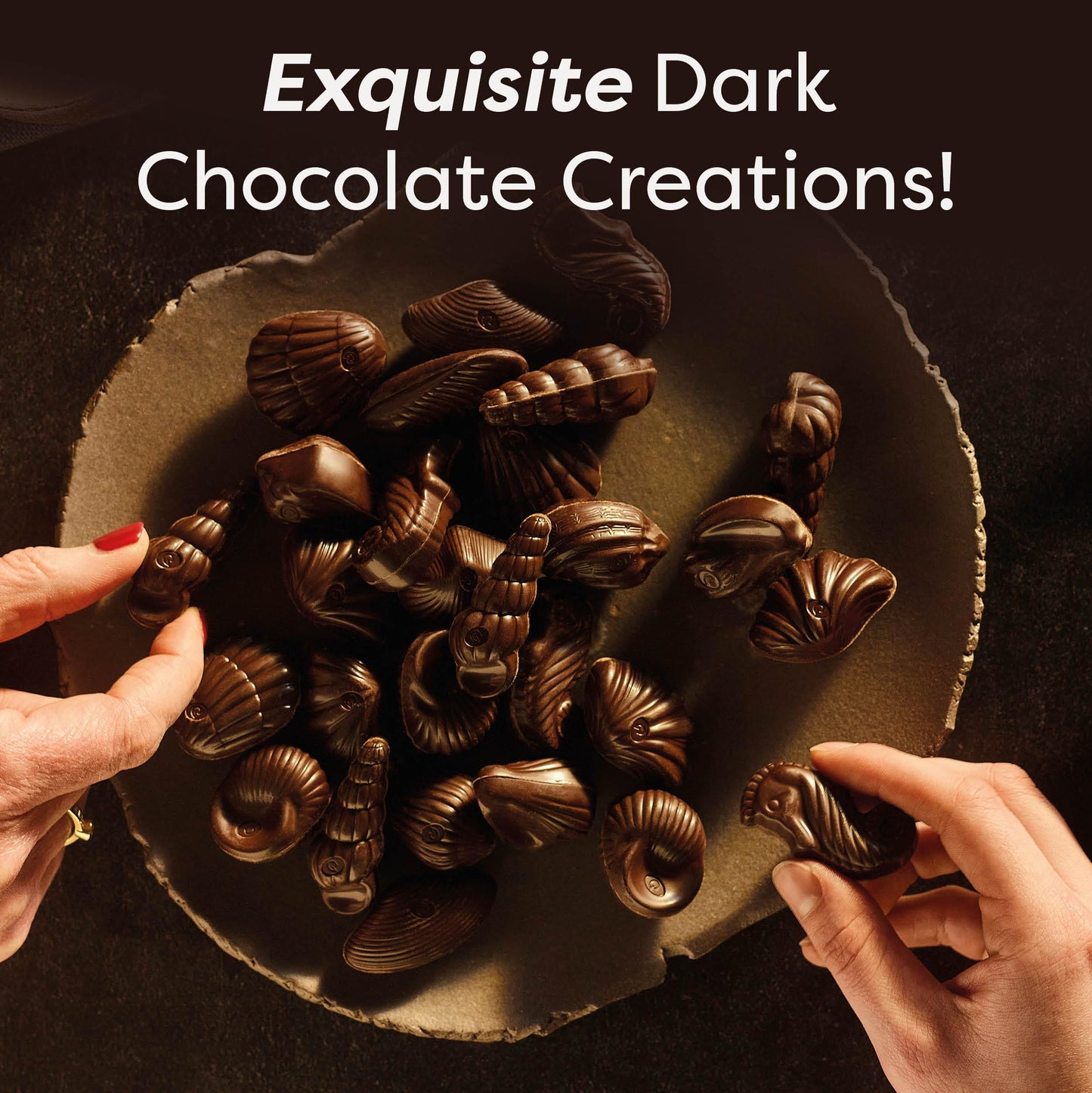 Belgian Dark Chocolate Gift Box, 7.94 oz, 20 pc Gourmet Hazelnut Praliné Seashells by GuyLian, 72% Cocoa Intense Dark Chocolate Candy for Women
