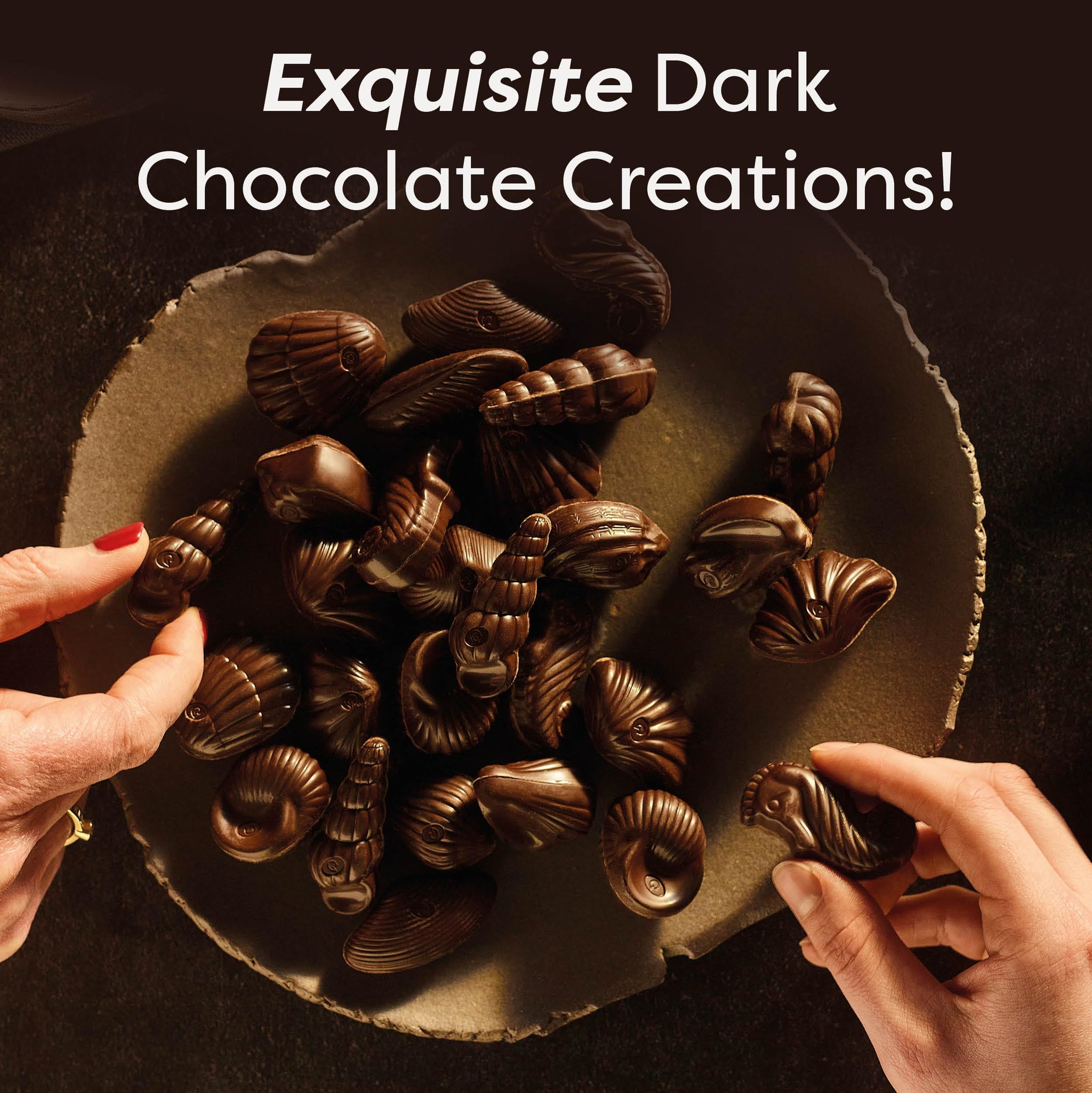 Belgian Dark Chocolate Gift Box, 7.94 oz, 20 pc Gourmet Hazelnut Praliné Seashells by GuyLian, 72% Cocoa Intense Dark Chocolate Candy for Women