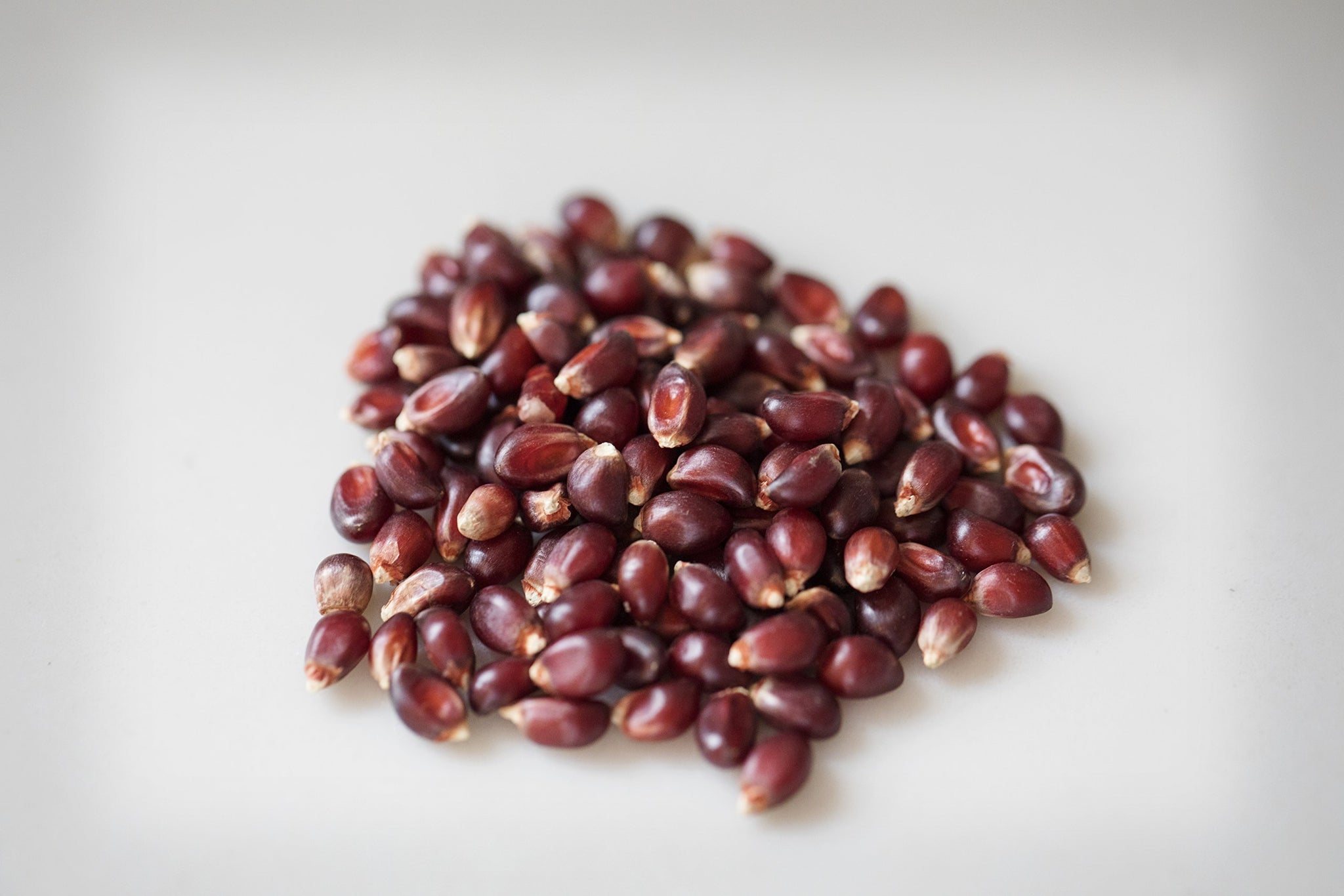 Amish Country Popcorn | 2-14 oz Bottles | Red Popcorn Kernels | Old Fashioned, Non-GMO and Gluten Free (2-14 oz Bottles)