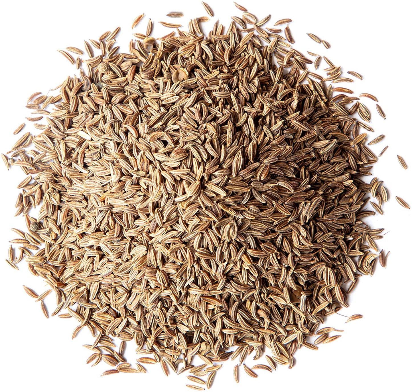 Food to Live - Caraway Seeds, 10 Pounds Whole Raw Dried Caraway Seeds, Kosher and Vegan, Bulk Savory Spice. Rich in Dietary Fiber and Minerals