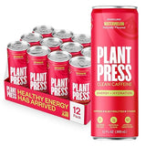 Plant Press - Organic Energy Drink, 100 mg Caffeine Clean Coffee Alternative, Full Range of Vitamins, Electrolytes, No Sugar Alcohols, No