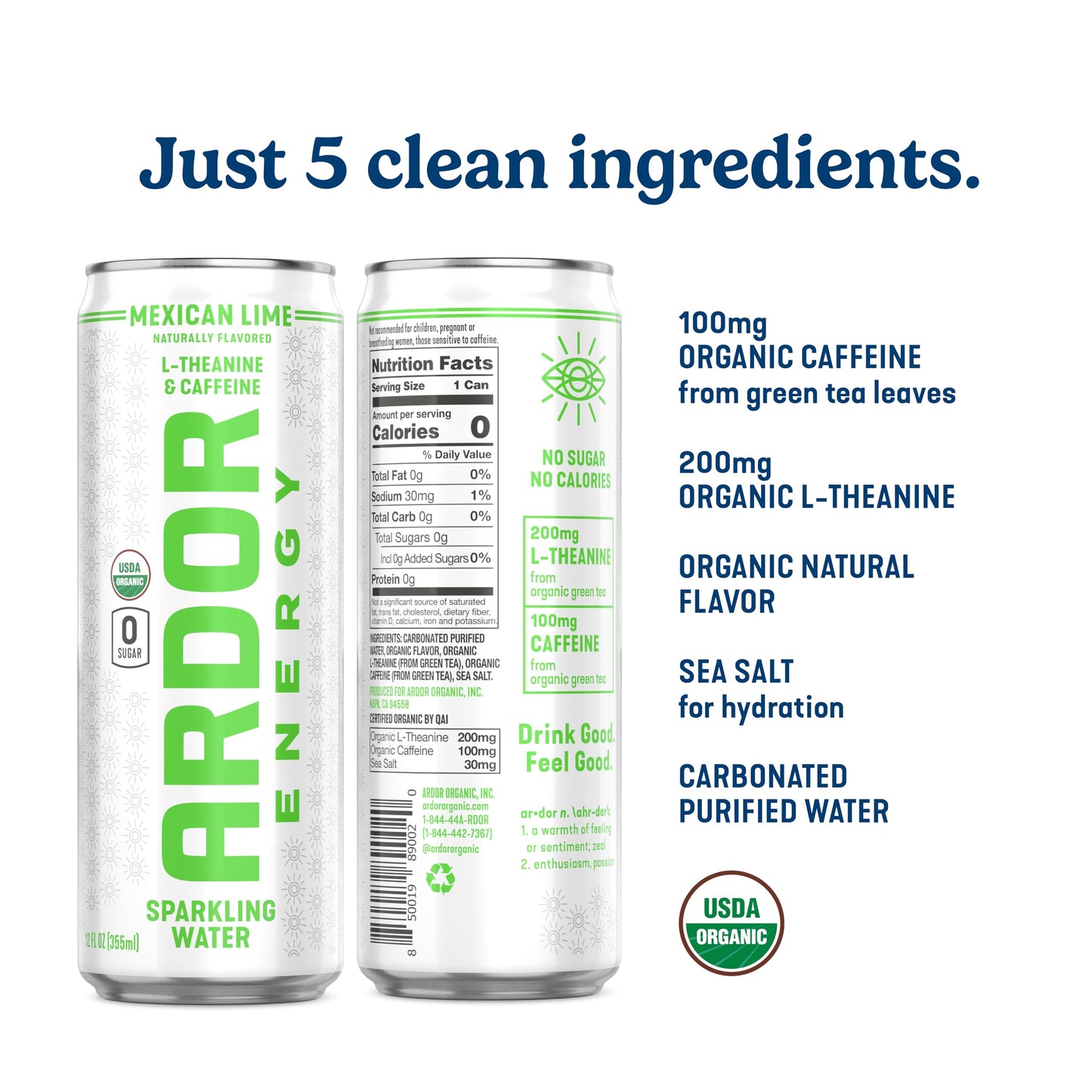 ARDOR Sparkling Water with 100mg Natural Caffeine & 200mg L-Theanine from Organic Green Tea for Smooth Energy & Focus | No Sugar, 0 Calories | Vegan