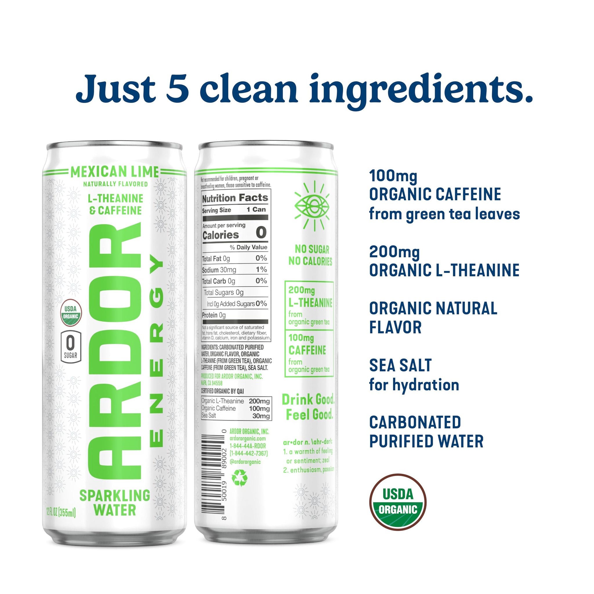 ARDOR Sparkling Water with 100mg Natural Caffeine & 200mg L-Theanine from Organic Green Tea for Smooth Energy & Focus | No Sugar, 0 Calories | Vegan