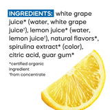 GOODPOP - 4ocean Organic Blue Lemonade Ice Pops - Fruit Juice, No Artifical Dyes or Flavors, No Added Sugar, 6 Count