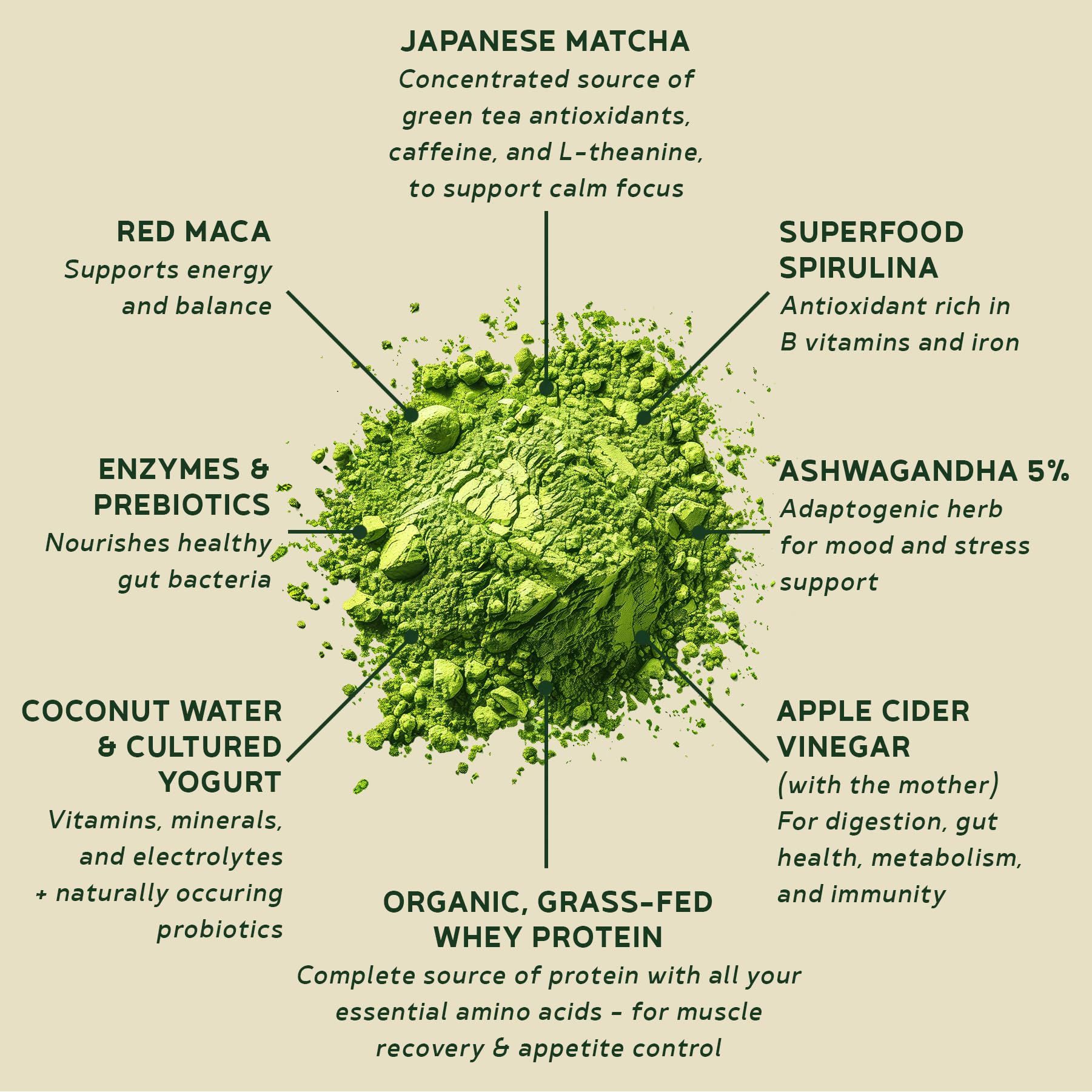 BBfL Grass-Fed Whey Protein Shake - 21g rBGH-Free Protein, Matcha + Apple Cider Vinegar, Prebiotics, Digestive Enzymes, Adaptogens for Stress & Mood