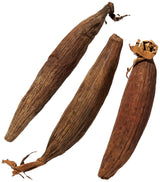 KOPABANA Grains of Peace | Seeds of peace | Graines de la paix | "ndidam" | jujube | African spices & seasonings | 3 pcs