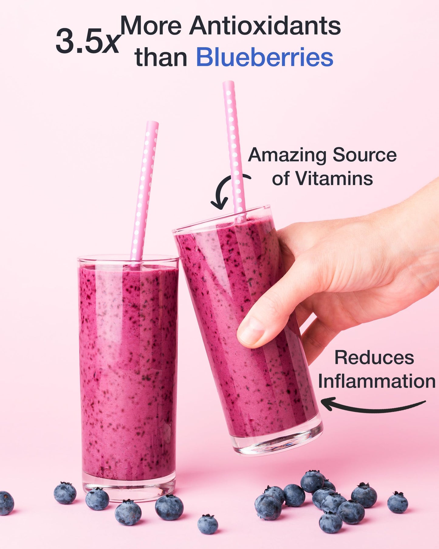 Green Valley Superfoods Organic Aronia Berry Juice Powder, Chokeberry, Antioxidant Rich Anthocyanins (12 Ounce)