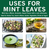 Spices Village Dried Mint for Cooking, Mint Spice Great for Loose Leaf Tea, 2 oz, Dried Mint Seasoning,- Kosher, Gluten Free, Non GMO, Resealable Bulk