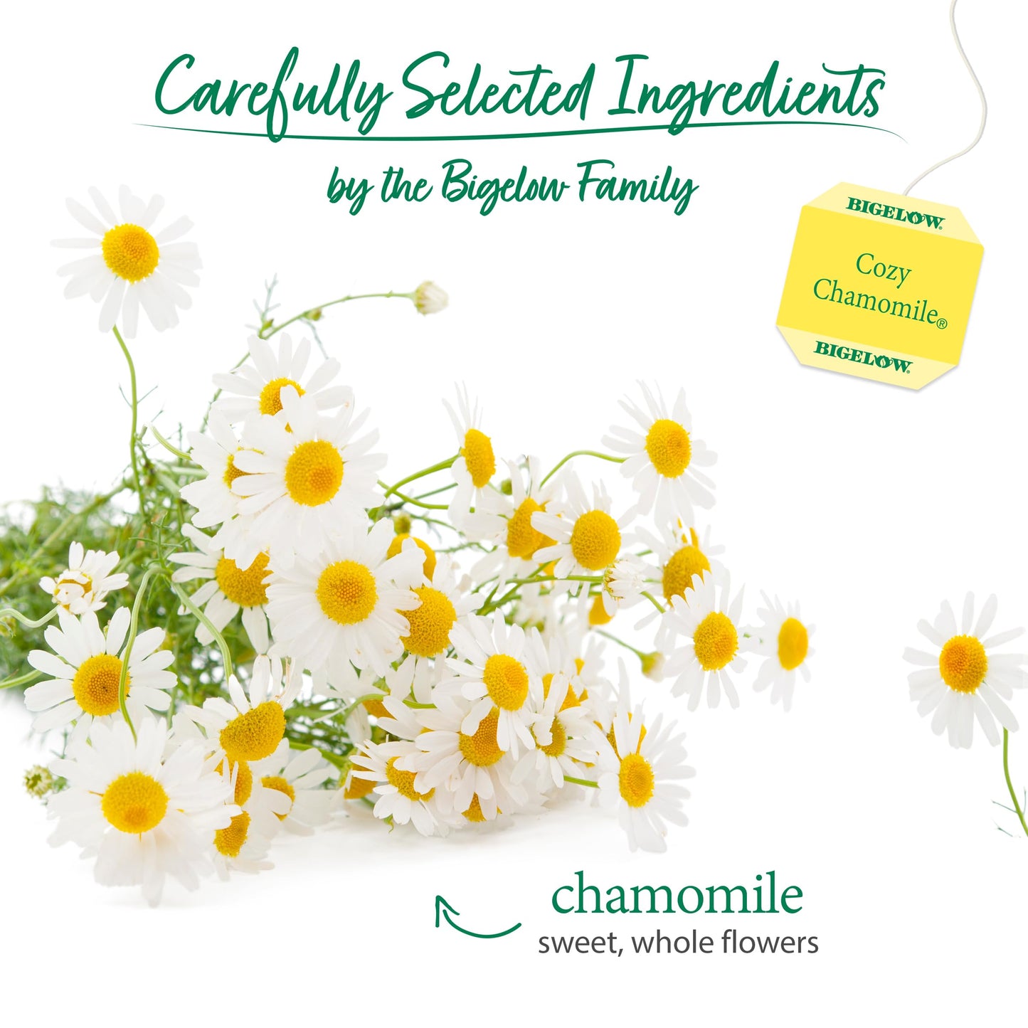 Bigelow Cozy Chamomile Herbal Tea Bags, 20 ct