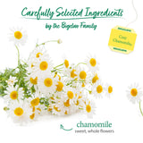 Bigelow Cozy Chamomile Herbal Tea Bags, 20 ct