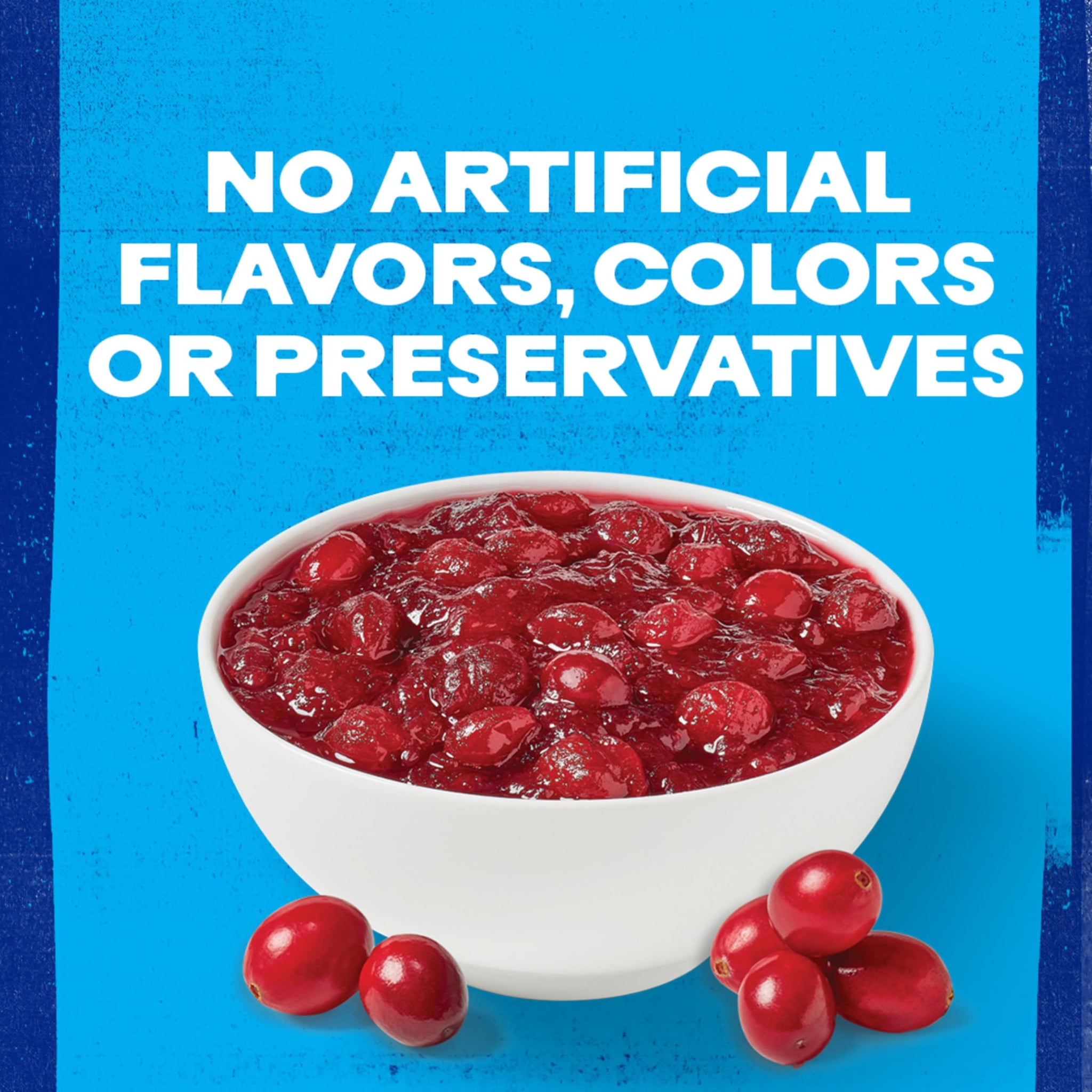 Ocean Spray Whole Cranberry Sauce, Canned Side Dish, 14 Oz Can (Pack of 1)
