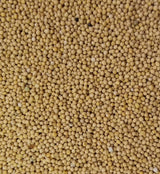 YELLOW Mustard Seeds 5 Pounds Bulk Bag-Heat Sealed to Maintain Freshness