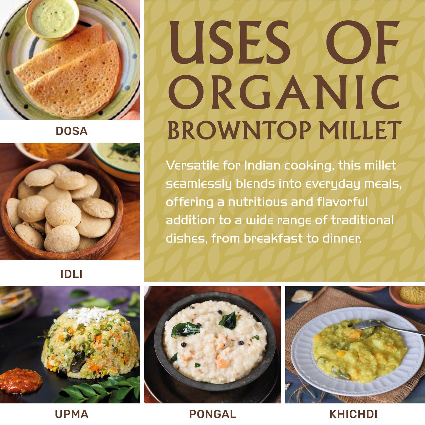 Jiva Organics Browntop Millet 2 LB Bag | Whole Grain, Gluten-Free & Organic | Protein & Fiber-Rich Superfood for Healthy Indian Cooking