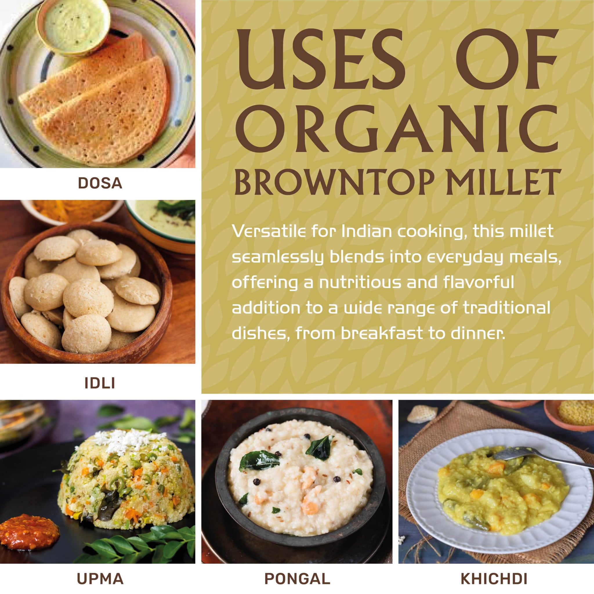 Jiva Organics Browntop Millet 2 LB Bag | Whole Grain, Gluten-Free & Organic | Protein & Fiber-Rich Superfood for Healthy Indian Cooking