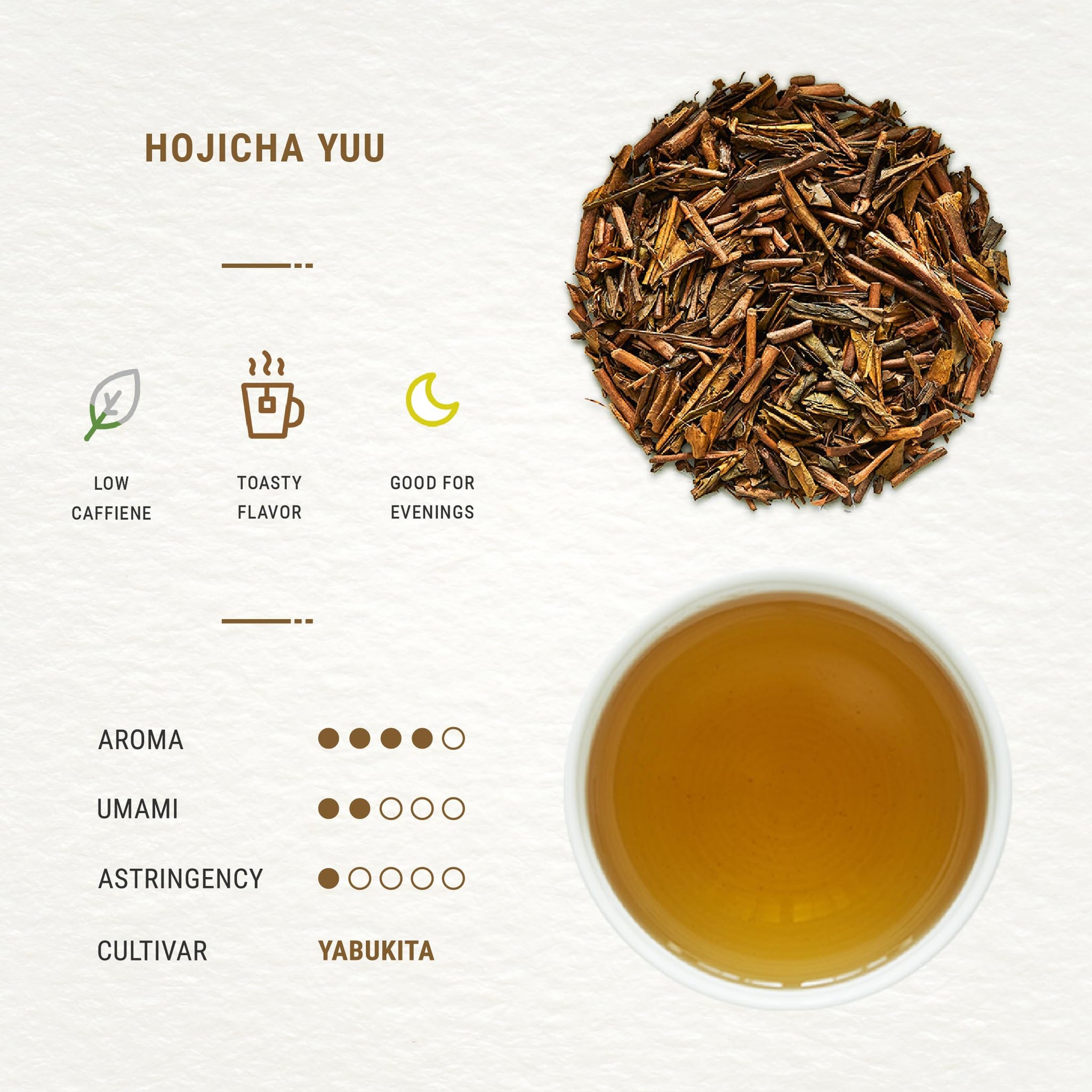 Senbird Premium Hojicha - Japanese Roasted Green Tea - From Shizuoka, Japan - Loose Tea In Airtight Tea Tin (1.76oz/50g)