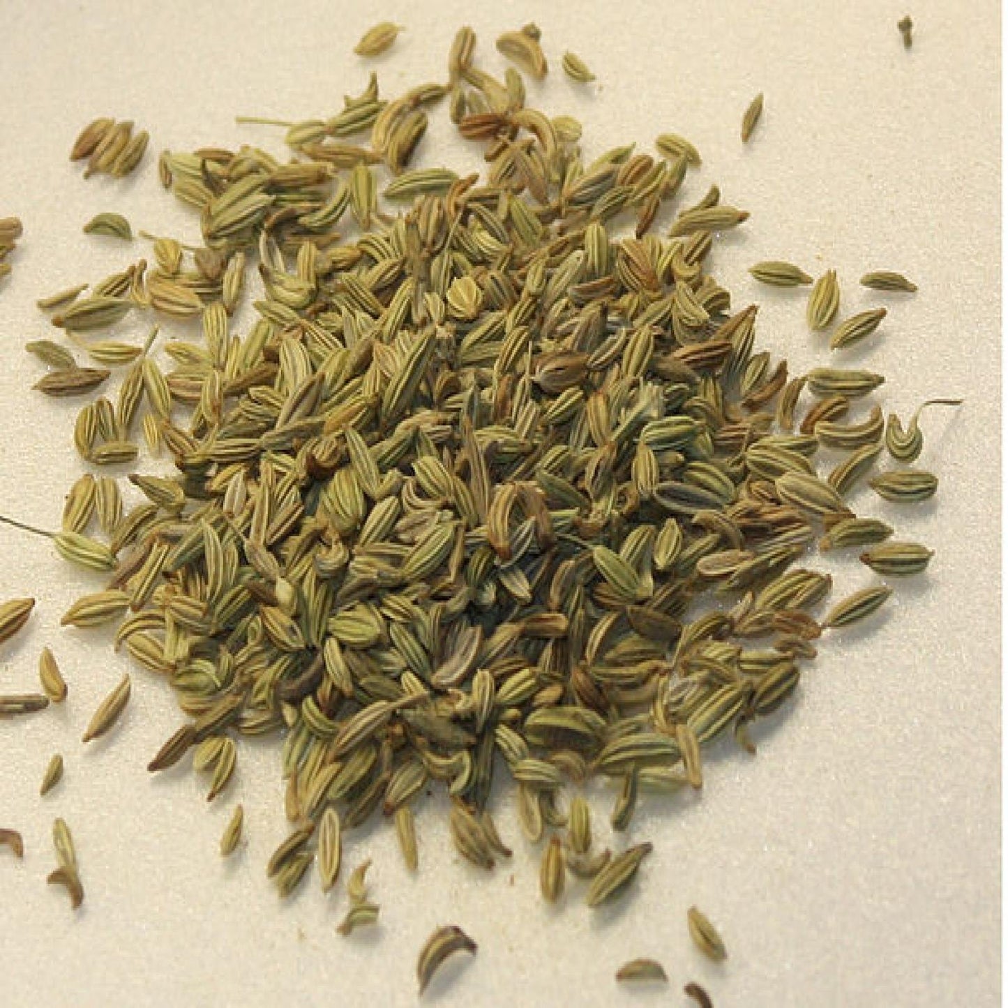 Fennel Seeds Whole - 5.01 lb