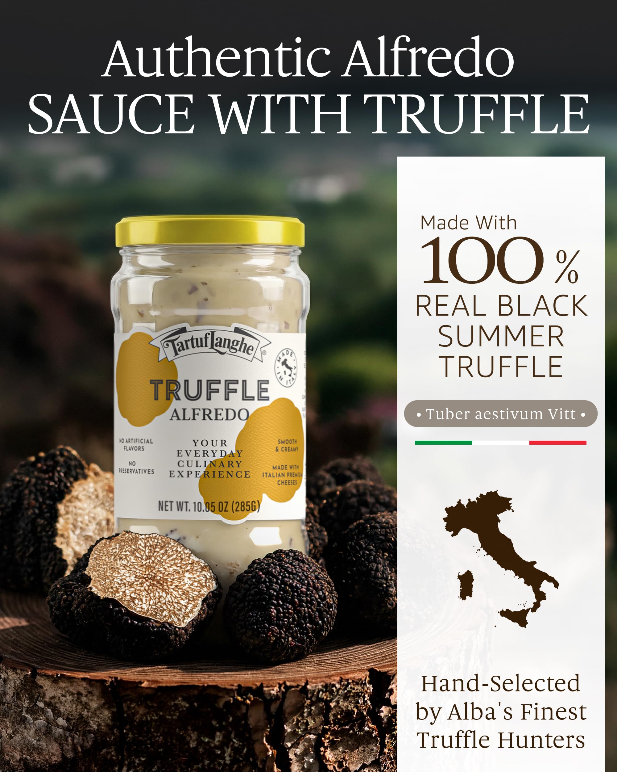 TartufLanghe Black Truffle Alfredo Sauce - Creamy Pasta Sauce with Parmigiano Reggiano, Pecorino Romano DOP Cheese, and Summer Black Truffle