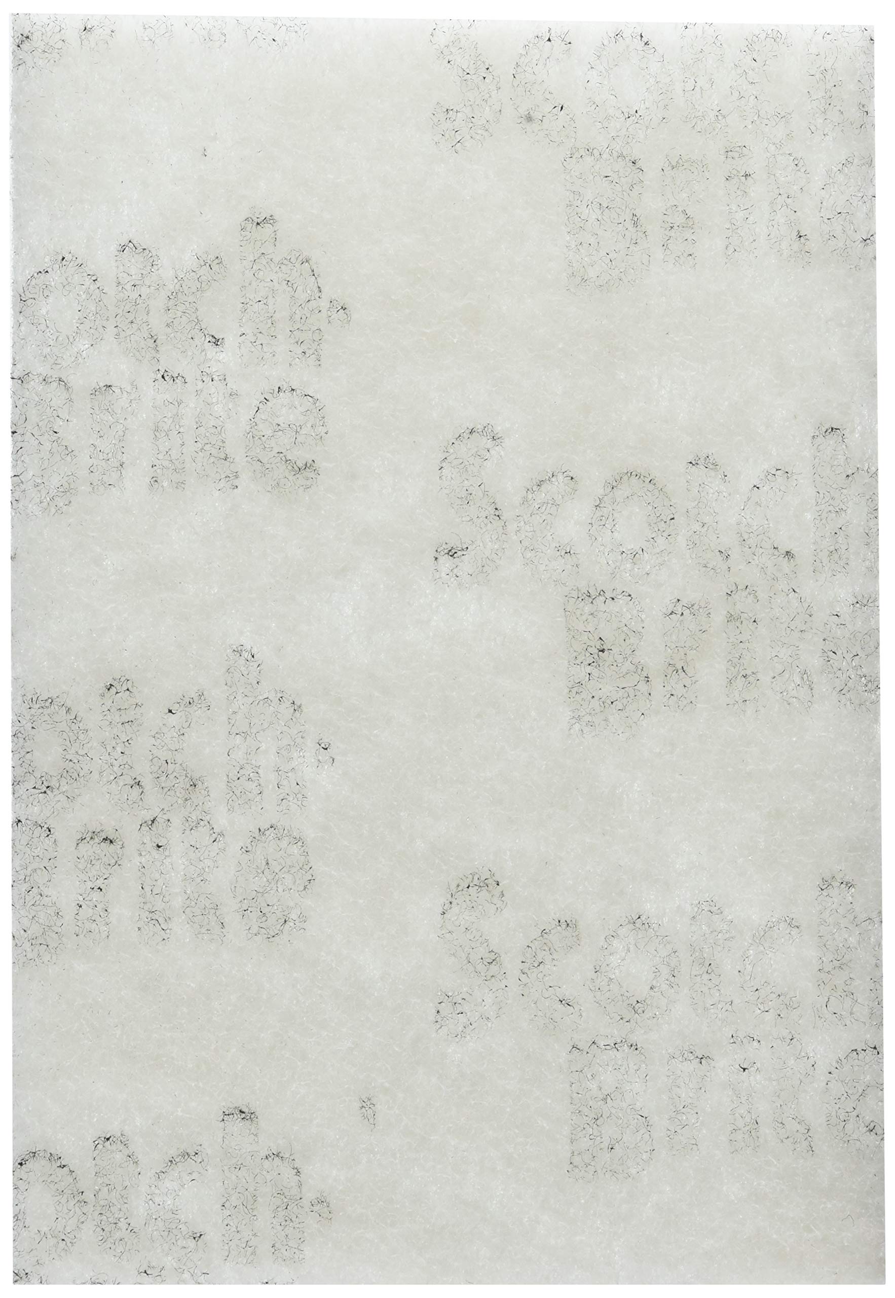 3M 98 - Scotch-Brite PROFESSIONAL Light-Duty Cleansing Pad 98 M