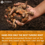 Lavendium, Premium 20oz Turmeric Powder, 100% Natural & Pure Ground Turmeric Root, No Additives or Preservatives, Non-GMO, Plant-Based & Vegan