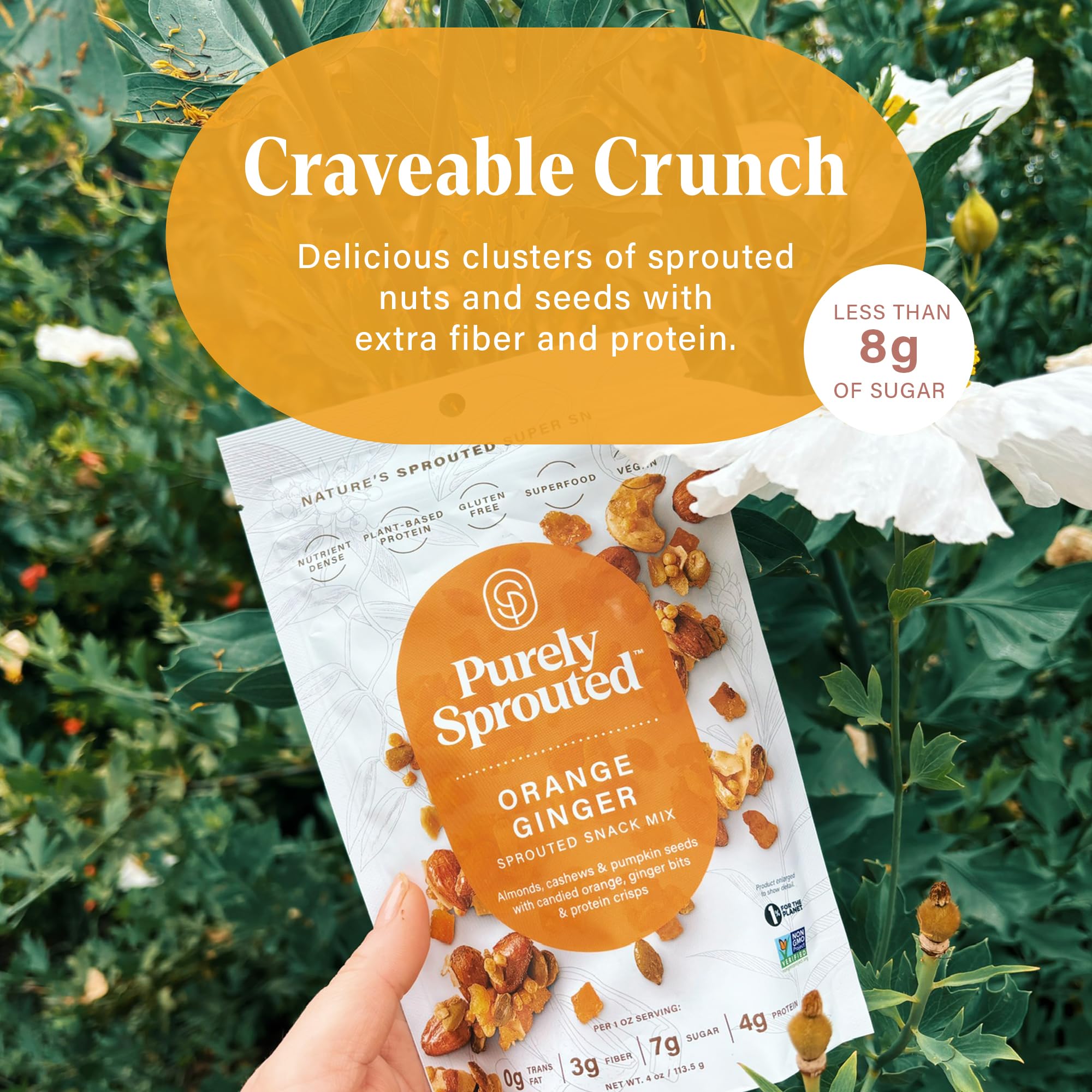 Purely Sprouted Orange Ginger Sprouted Snack Mix with Almond, Cashew Nuts & Pumpkin Seeds - Grain and Gluten Free, Non-GMO, Vegan - Ideal